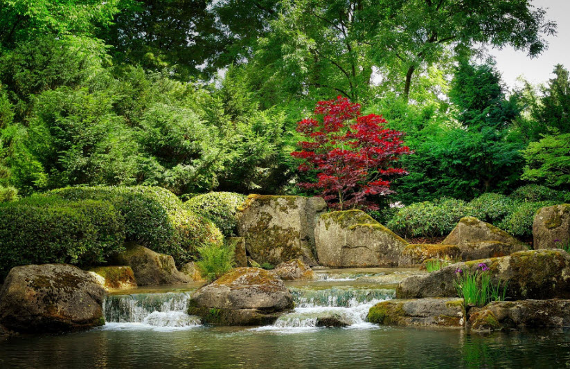 Bellevue Botanical Garden, United States